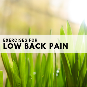 exercises for low back pain