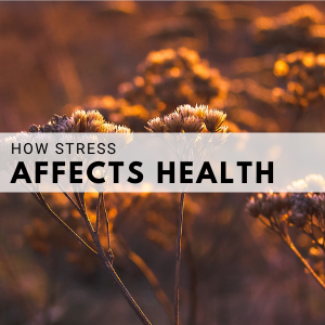 Text: How Stress Affects Health